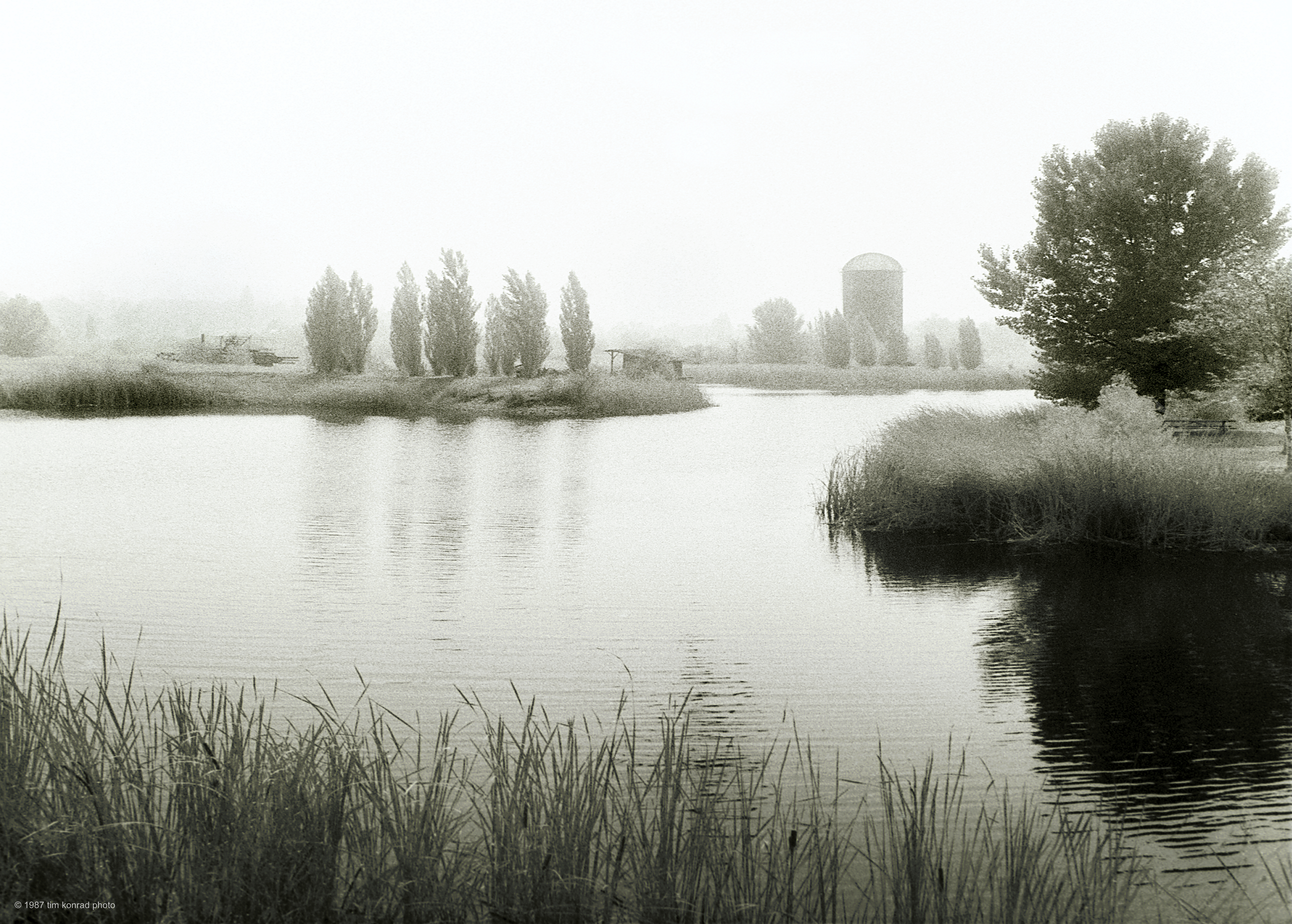 redwood ramble_2015.07.18