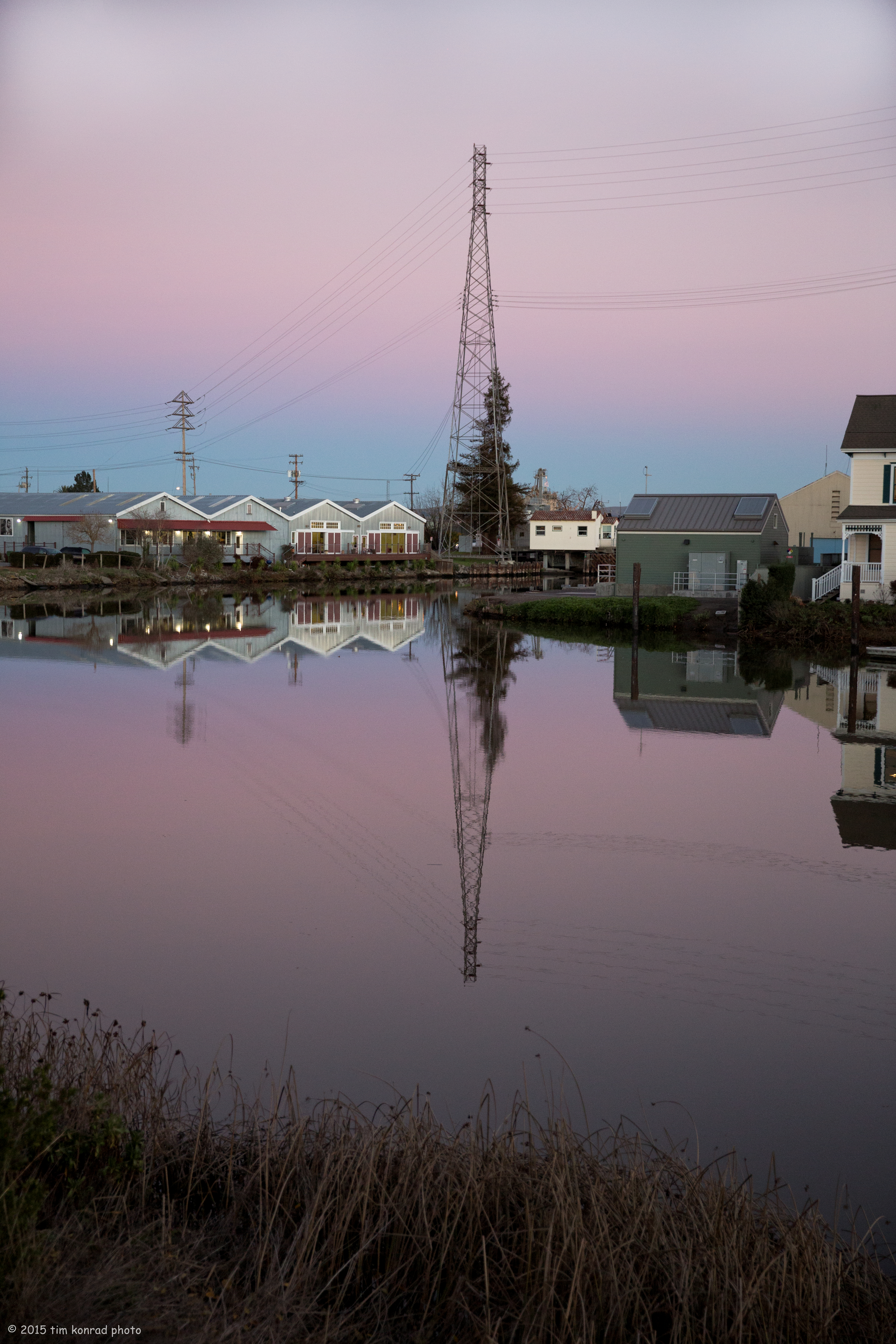 strawberry fall 2010