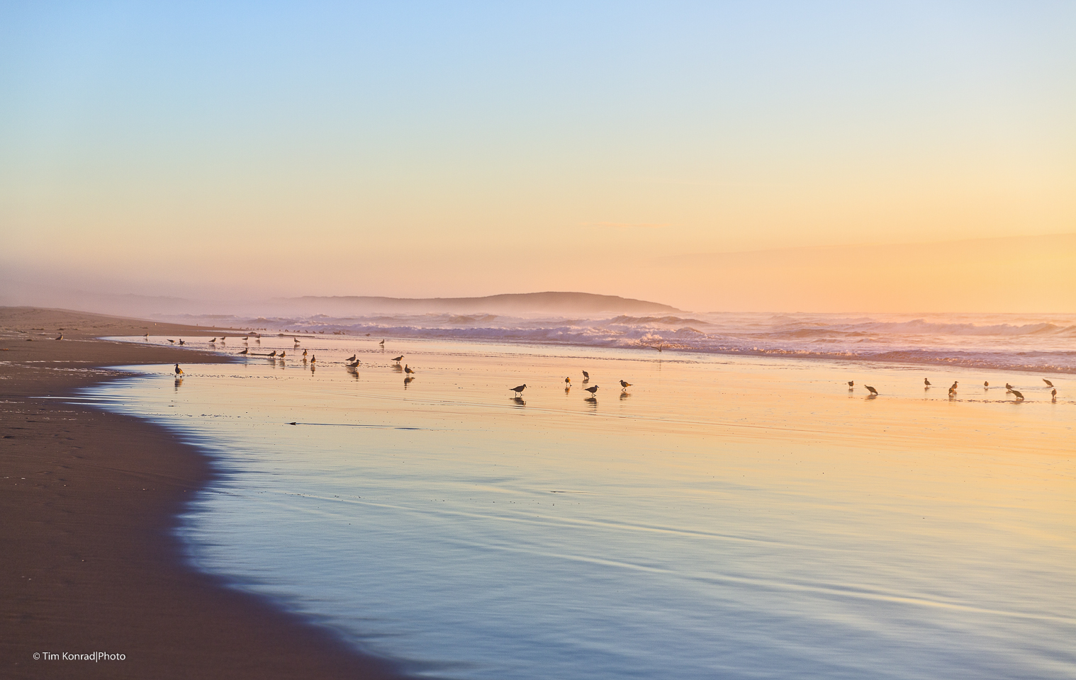 2016-11-10_salmon-beach_im_5543-06