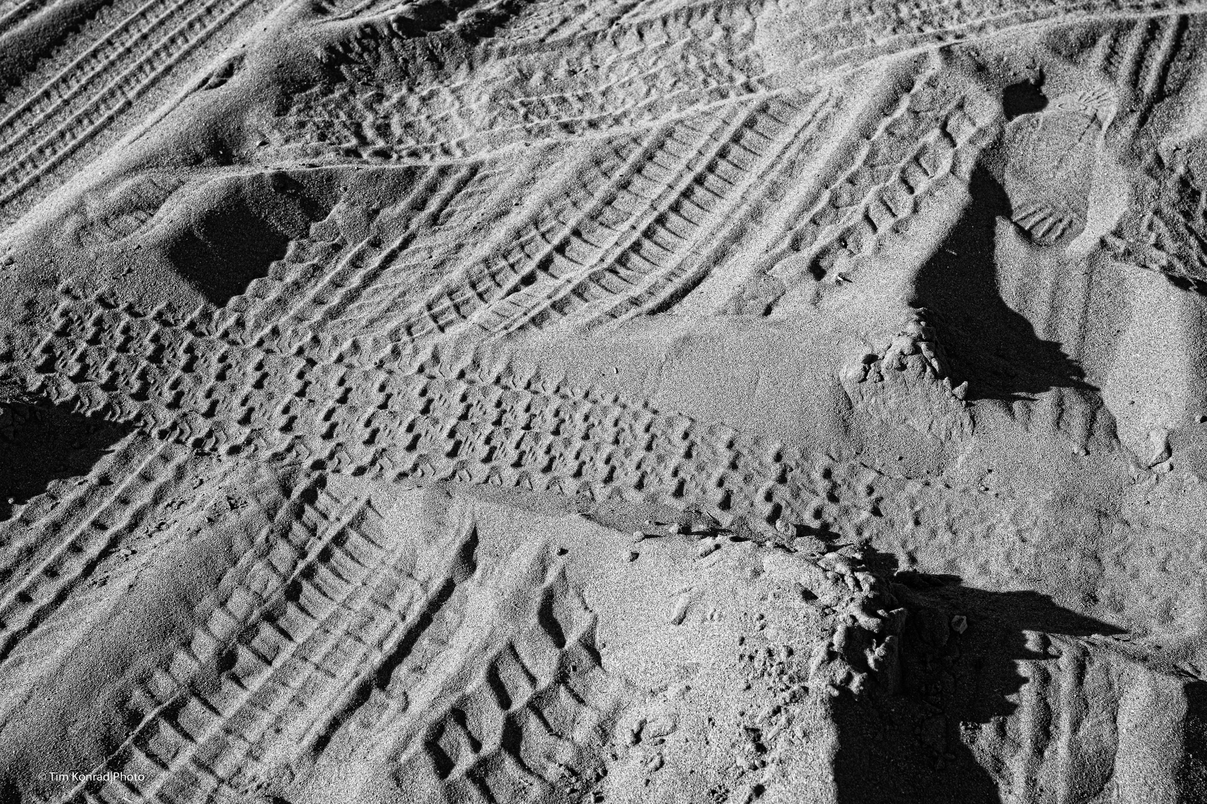 bodega bay-salmon beach