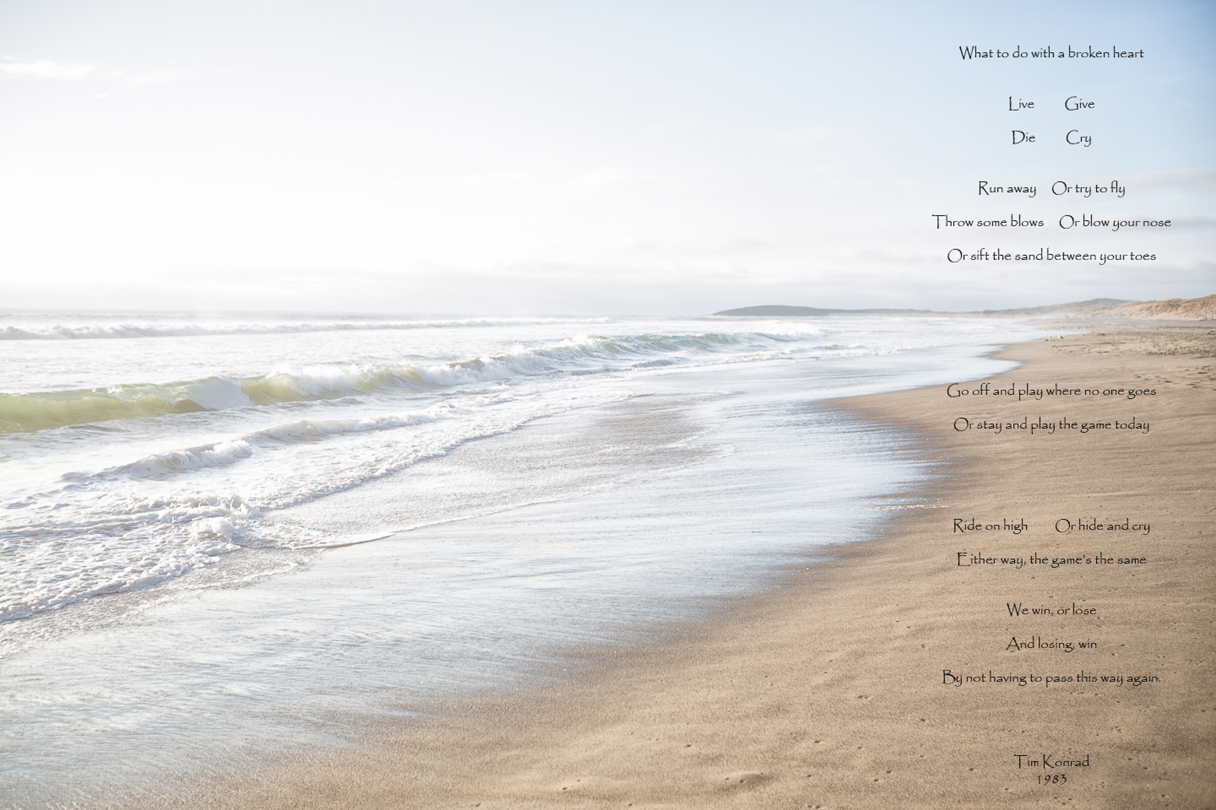 goat rock, portuguese beach, sonoma coastline