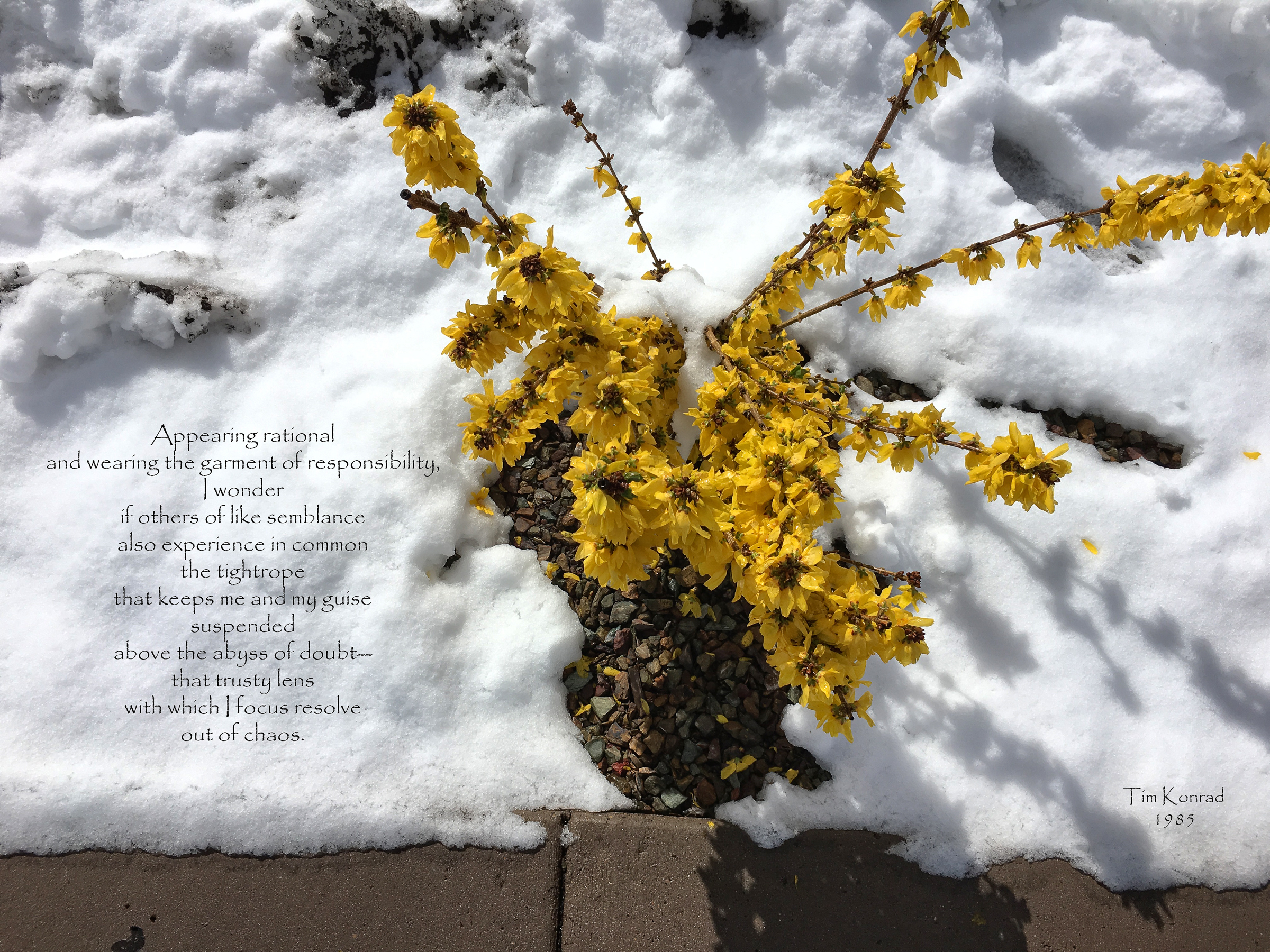 1985_poemphoto_IMG_1754-iP-03